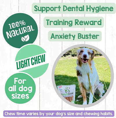 Nature Gnaws USA Turkey Tendons for Dogs (1Lb) - Delicious Grain Free Reward Snack for Small, Medium & Large Breeds - Premium Natural Dog Chew Treats