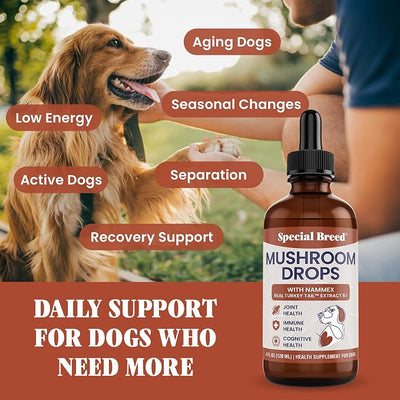 Organic Turkey Tail Mushroom for Dogs - Liquid Mushroom Supplement with Nammex Real Turkey Tail 8:1 - Immune Gut Joint Cognitive Support - Reishi Lion’s Mane Cordyceps Chaga - 120 Servings