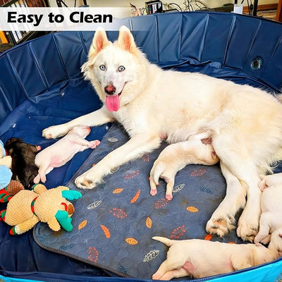 Artilife Whelping Box for Dogs Welp Box Whelping Pool,Puppy Whelping Pen for Puppies,Birthing for Dogs (63inch Dia.x12inch H(160x30cm), Blue)