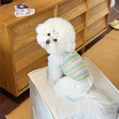 Dog Sling Tank Top with Tulle Skirt, Colorful Striped Pet T-Shirt (Pink, Large)