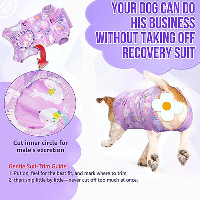 Lukovee Recovery Suit for Dogs, Zipper On Dog Surgery Suit for Female Male Dog, Onesies Bodysuit Prevent Licking Spay Abdominal Wounds Bandages E-Collar Alternative (Purple, XXL)