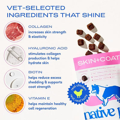 Native Pet Skin & Coat Chews - Omega 3 Fish Oil for Dogs Skin & Coat Supplement - Itch Relief, Shiny Fur & Shedding Support - Collagen, Hyaluronic Acid, Biotin, Probiotics & Salmon Oil - 60 Chews