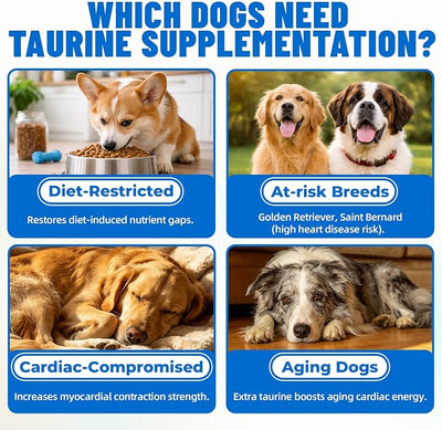 Just Try 10.58 OZ Taurine Supplement Coq10 for Dogs with L-Carnitine & Coenzyme Q10 Support Dog Heart, Immune and Eyes Health