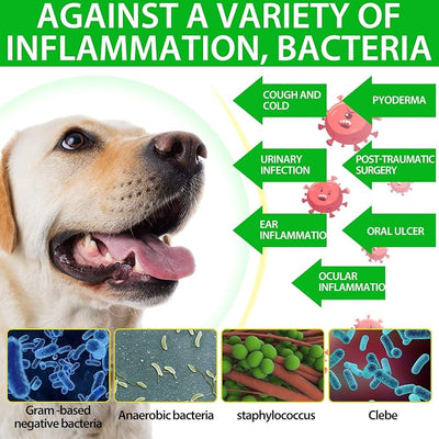 Antibiotics for Dogs, Natural Dog Antibiotics Supports Dog Allergy and Itch Relief, Dog Supplies Antibiotics, Dog Multivitamin for Pets, Bacon Flavor - 60ml / 2.02oz
