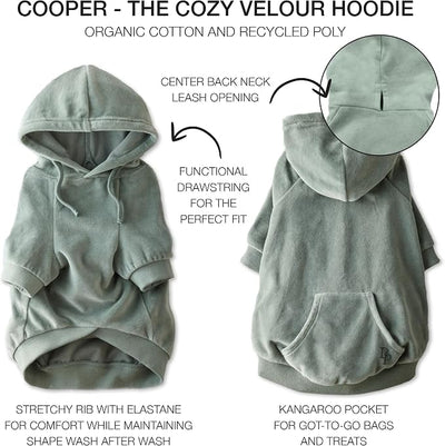 Pet Passion Cooper II Organic Cotton Velour Dog Hoodie Pet Coat for Small, Medium and Large Dogs, Sage, XXX-Small (up to 5lbs)