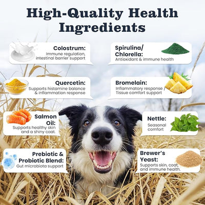 Dog Allergy & Immune Chews 300 Treats, Itching Skin Relief Chews Omega 3 Fish Oil Probiotics for Seasonal All Issues Allergies Skin & Hair, Gut, Immune-All Ages & Sizes Dogs Made in USA Chicken Flavor