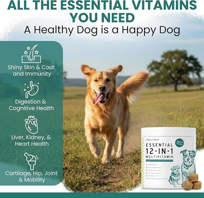 12-in-1 Dog Multivitamin Chews, 120 Ct - Vitamins, Supplements, Glucosamine Chondroitin, Probiotics, Omega 3 - Hip & Joint, Skin & Coat, Immune, Digestive Support for Puppy, Senior Dogs - Chew + Heal