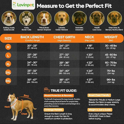 LovinPet Dog Recovery Suit, Easy Snap-Back Cover for Large Dogs, Bodysuit for Female Dogs, Solid-Color Surgery Suit with Cushioned Belly Panel, Red, XL
