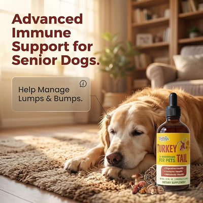Turkey Tail Mushroom Supplement for Dogs - Liquid Immune Support Drops for Lumps & Bumps - 7-in-1 Blend with Turmeric & Probiotics, Chicken Flavor (90 ML)