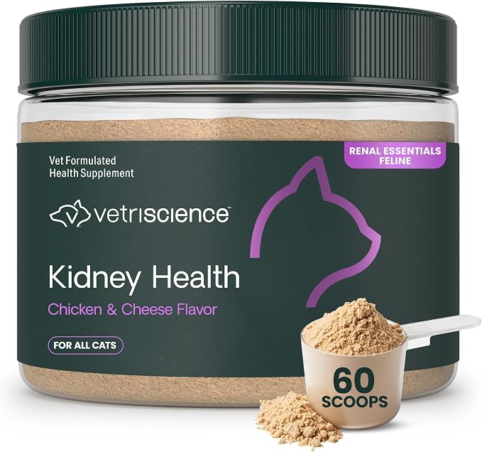 VetriScience Kidney Health Powder, Renal Essentials Supplement for Cats, Kidney Care and Support with Mushroom, Astragalus Root, Nettle Seed and Herbs, Chicken & Cheese, 60 Scoops
