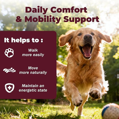 Dog Arthritis Pain Relief, Joint Pain Relief for Dogs, Anti-Inflammatory Support for Mobility & Comfort, Helps Manage Osteoarthritis, Easy-to-Use Oral Suspension 1.08 oz
