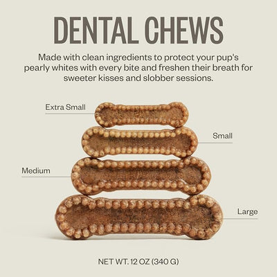 Ollie Dental Chews for Small Dogs, 12 Oz, Fresh Breath, Teeth Cleaning Treats, Sticks for Dog Oral Care, with Parsley and Cinnimon, for Pups 16-25 lbs