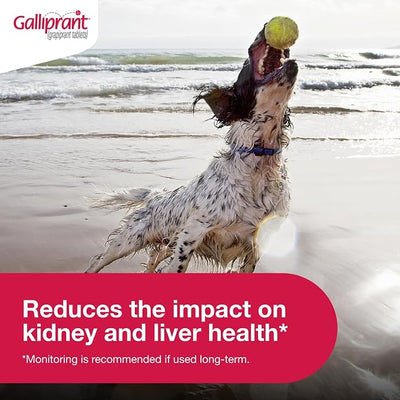 Galliprant Osteoarthritis Pain & Inflammation Control for Dogs | 60mg | 90 Flavored Tablets
