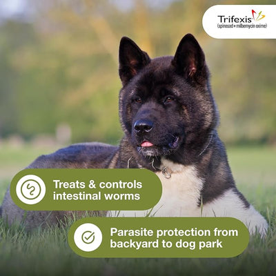 Trifexis Heartworm Prevention | Treats & Controls Flea Infestations + 4 Other Worms | Dogs 20.1-40 lbs. | 6 Chewables