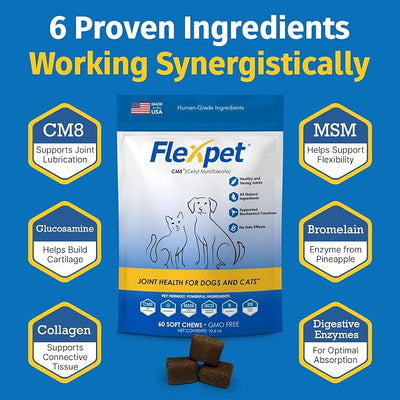 Hip & Joint Supplement for Dogs & Cats with Cetyl Myristoleate, Glucosamine, Collagen, MSM - Max Strength Joint Support for Mobility, Senior Pets, Large Breeds - Trial Pack (Bacon/Cheese)