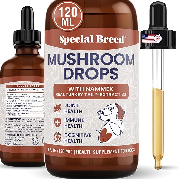 Organic Turkey Tail Mushroom for Dogs - Liquid Mushroom Supplement with Nammex Real Turkey Tail 8:1 - Immune Gut Joint Cognitive Support - Reishi Lion’s Mane Cordyceps Chaga - 120 Servings