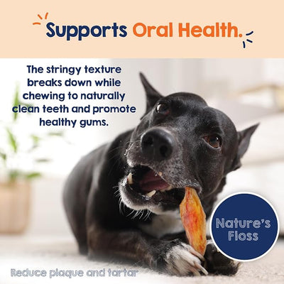 Riley's Beef Tendon Strips - Single Ingredient & Low Odor Beef Tendons for Dogs - Tendon Chews for Dogs Promotes Dental Health - All Natural Dog Treat for Small & Medium Breeds (7-10 inch, 12 Sticks)
