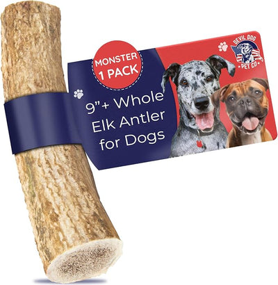 Devil Dog Pet Co. Elk Antlers for Dogs, Natural Dog Chew for Aggressive Chewers - Long Lasting and Odor Free - USA Sourced - Cleaner Teeth, Anxiety & Boredom Relief - Whole Monster 9"+ - Antler Bone