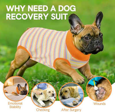 SAWMONG Recovery Suit for Dogs Female Male, Cotton Breathable Dog Onesie After Surgery Spay Neuter, Professional Pet Surgical Suit, Substitute E-Collar Cone (Orange Stripes, 2XL)