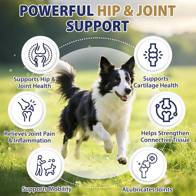 Hip and Joint Supplement for Dogs 200 Dog Calming Chews with Glucosamine, Chondroitin, Msm, Omega3, Melatonin for Senior Dogs Anxiety Pain Relief Anti Inflammatory Small/Medium/Large Dog -Bacon