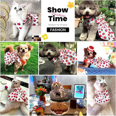 ABRRLO Cute Dog Dress Small Dog Clothes for Girls Female Puppy Outfits Red Strawberry Pet Summer Clothes Bowknot Doggy Cat Princess Dresses Harness for Holiday Birthday Party Costume Clothing (Red,M)