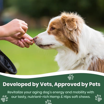 Veterinary Naturals Hemp & Hips Joint Supplement for Dogs/Supports Relief from Hip and Joint Pain in Large, Aging Dogs (Regular, Rotisserie Chicken)