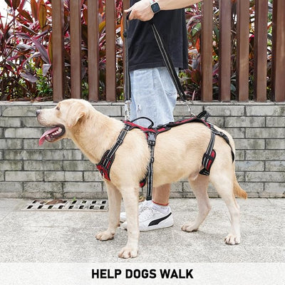 COODEO Mobility Dog Lift Harness, Support Sling & Walking Sling for Dogs, Pet Rear Leg Rehabilitation Support Vest, Dog Carrier for Senior Dogs with Joint Injuries, Arthritis, Up Stair (Red, M)