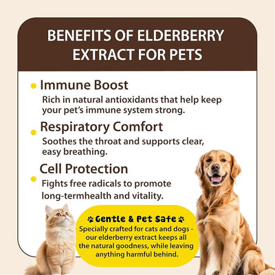 Cough Medicine for Dogs & Cats, Kennel Cough Treatment, Respiratory Infection Support - Sneezing Relief & Cough Treatment - Pet Asthma Support - Made with Natural Ingredients in The USA