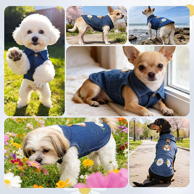 Dog Tshirts for Small Dogs, Soft Breathable 100% Cotton Denim Dog Vest with D-Ring & Cute Bear Daisy Print Dog Shirts for Small Dogs Girl Boy, Puppy Clothes Outfits for Chihuahua Yorkie Shih Tzu