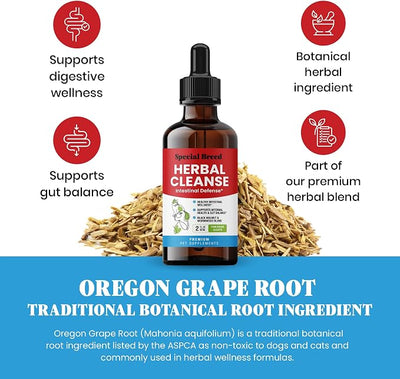 Herbal Cleanse for Dogs & Cats – Natural Intestinal Defense with Wormwood & Black Walnut – Herbal Gut Cleanse Liquid for Digestive Wellness & Gut Balance – Advanced Broad Spectrum Formula – 2 oz