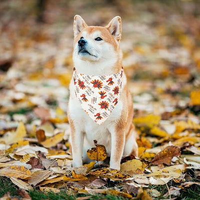 ADOGGYGO Thanksgiving Dog Bandana Fall Autumn Pet Bandana Reversible Triangle Bibs Scarf Accessories for Medium Large Dogs Pets (Large, Thanksgiving)