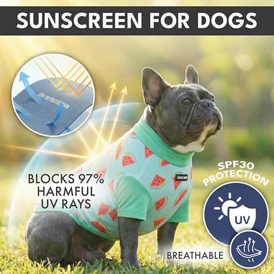 Spark Paws Sunblock Dog T-Shirt, SPF30 Protection, Lightweight Breathable Quick Dry for Dogs with Sensitive Skin - Bees & Watermelon (Set of 2) - Size 4XL