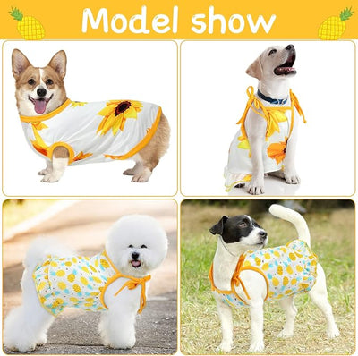Frienda 4 Pieces Dog Clothes Set Include 2 Pcs Cute Pet Dress Lovely Dog Dress and 2 Pcs Breathable Pet T Shirt Puppy Clothes(Pineapple, Sunflower,Medium)