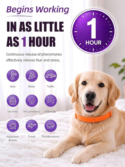 Calming Collar for Dogs 4 Pack, Adjustable Pheromone Collars for Dog Puppy, Long-Lasting Stress & Anxiety Relief, Waterproof Natural Dog Calming Collar for Barking & Thunder (Orange, Large)