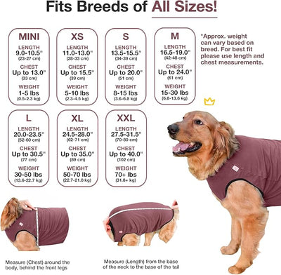 BellyGuard Dog Surgery Recovery Suit, Post-Op Dog Recovery Suit for Female Spay & Male Neuter, Comfy Onesie for Pets, Surgical Body Cover for Canine Healing Support