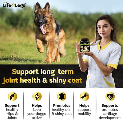 Dog Skin and Coat Supplement, Bacon Flavor, 90ct | 800mg Collagen, Omega 3, Glucosamine, MSM, Coat Shine, Normal Shedding, Hip and Joint Support