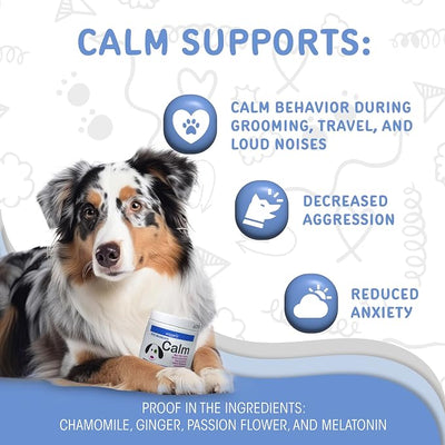 waggedy Calm with Melatonin - Calming Chews for Dogs to Manage Stress & Anxiety Relief — Pet Calming Treats for Travel, Fireworks & Separation — Dog Supplements & Vitamins (60 Chews)
