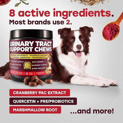 Dog Urinary Tract Supplement – Cranberry & D-Mannose | PAC-standardized cranberry; D-mannose; marshmallow root, quercetin & probiotics; bacon flavor; 140 soft chews; Made in USA