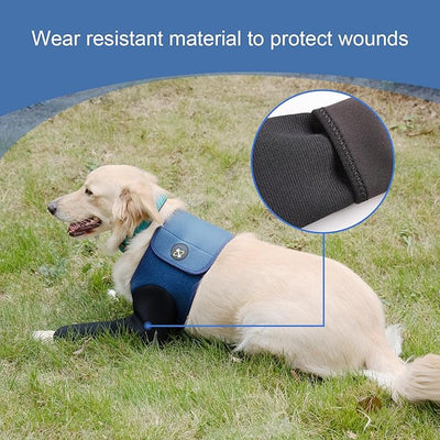 Coodeo Dog Recovery Suit, Cone Collar Alternative, Abrasion Resistant Dog Recovery Sleeve, Washable 2.5mm Thick and Waterproof, Pet Wounds Prevent Licking, Bite, Keep Dry（Blue，L