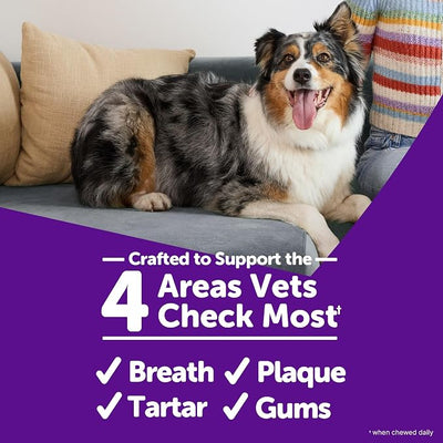 Whimzees Wellness Brushzees Dog Dental Treat, VOHC Accepted Chews, Freshens Breath, Small Size, 4.2 oz Bag, 8 Count (Pack of 2)