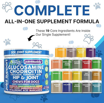 JointBuddy Glucosamine Chondroitin Joint Supplement for Dogs Salmon Oil MSM Tart Cherry Omega 3 6 9 Fish Oil Hyaluronic Acid Supplements & Collagen for Dogs 60 Chews Beef Flavor by Clean Nutra Pets