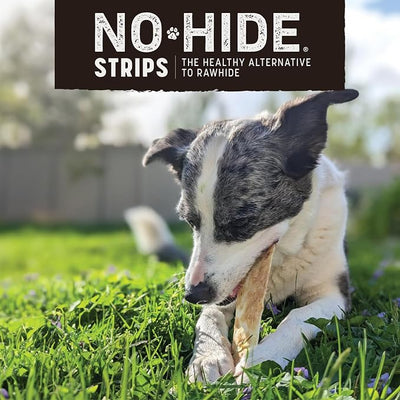 Earth Animal No Hide Strips - Natural Rawhide Free Dog Chew Strips, Barbeque Bacon Cheeseburger - 4 Count