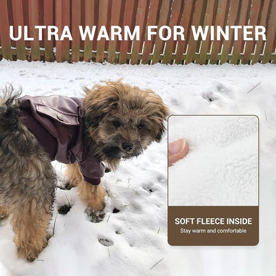 LESYPET Dog Leather Jacket for Small Dogs, Waterproof Dog Winter Jacket Puppy Coat with Fleece Lined, Ultra Warm Fur Collar Doggie Coat, Red S