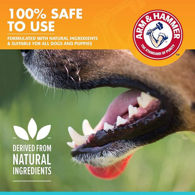 Arm & Hammer for Pets Dog Oral Care Spray, Mint Flavor Breath Freshener with Baking Soda for Brushless Plaque and Tartar Support, Easy Daily Dental Maintenance for Adult Dogs, 4 Fl Oz