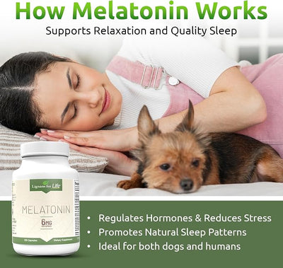 Lignans for Life Melatonin for Dogs & People, 6mg - 120 Capsules - Capsules - Pet Treats - Vitamins for Overall Health