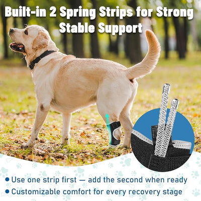 Dog Leg Braces for Back & Front Legs- Dog Hock & Ankle Joint Brace for Weak Back Legs with 2 Metal Strips, Reflective Trim for Sprain, Injury, Arthritis, Wound Recovery,Black,M