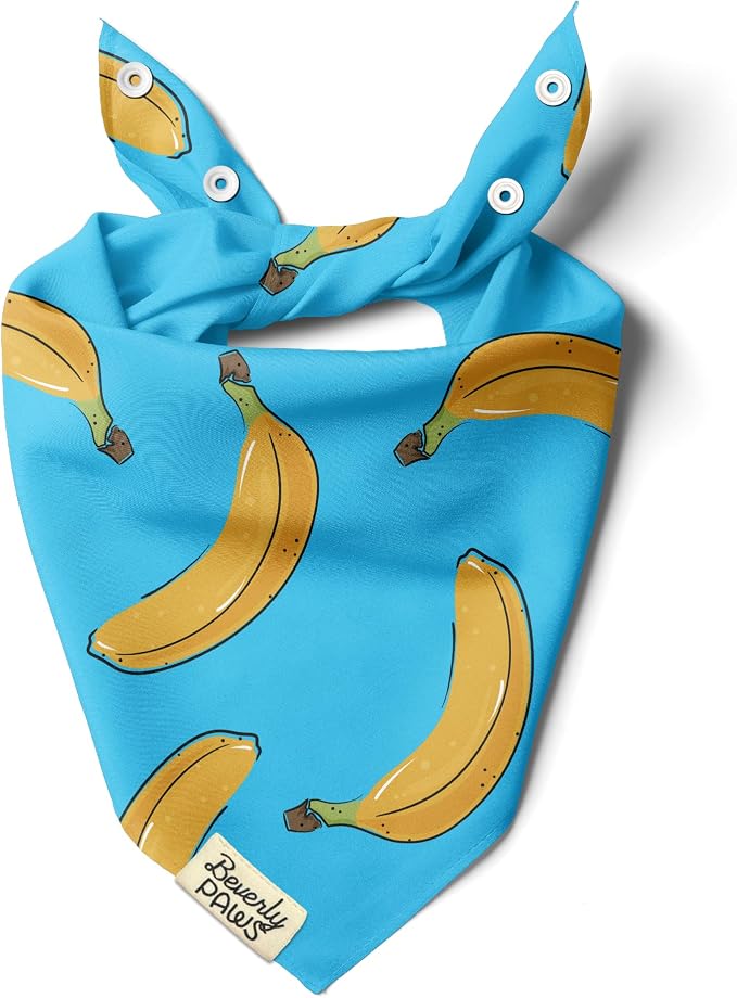 Snap-On Dog Bandana for Small Medium Large Pets, Dogs Cats Adjustable Handkerchief Scarf for Girl & Boy, Funny Cute Puppy Apparel & Accessories (Turquoise Banana, Medium)
