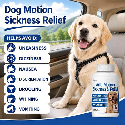 Lunza Motion Sickness for Dogs (26-75 lbs), Dog Car Sickness Medicine for Nausea, Vomiting, Drooling, Whining and More, Non-Drowsy, 20 Tablets