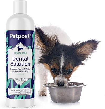 Petpost | Dental Solution for Dogs - Water Additive that Eliminates Bad Breath - Dirt, Gunk, and Tooth Buildup Gone - Natural Tooth Cleaning Solution 16 oz.