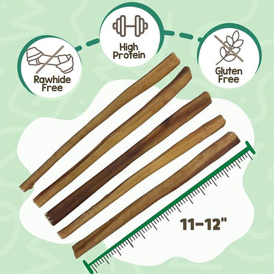 Nature Gnaws Large Bully Sticks for Dogs 11-12" (5 Count) - Thick Long Lasting for Aggressive Chewers and Large Dogs - Natural Beef Dog Chew Bones